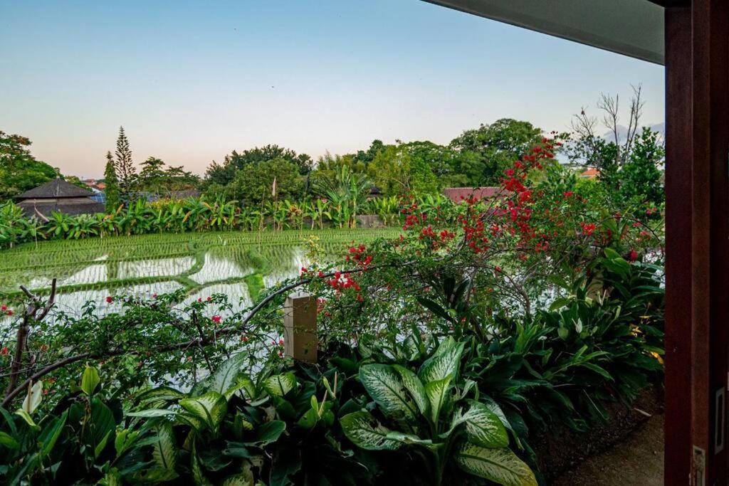Villa Mimpi Nyata Canggu  Exterior photo